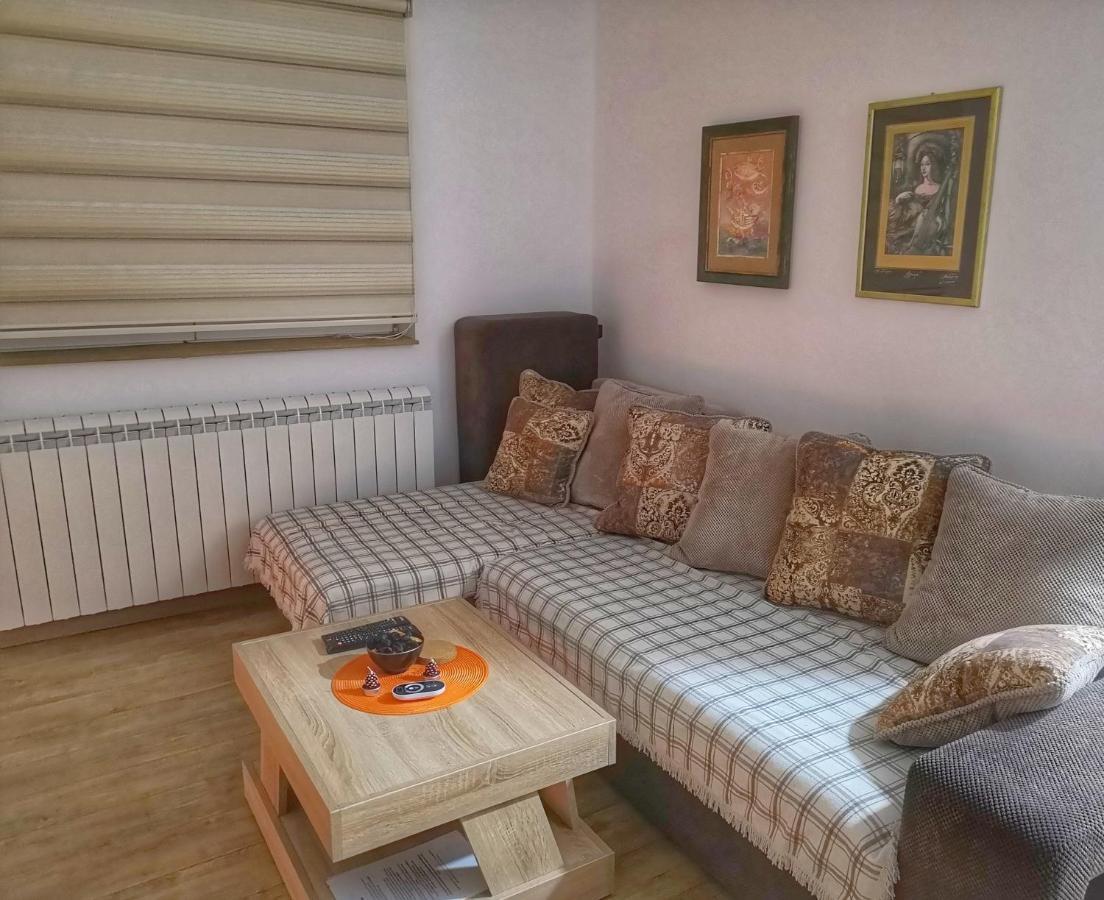 Iznad Oblaka Apartman 8 コパオニク エクステリア 写真